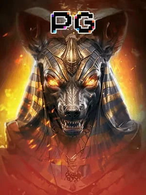 dg779 image
